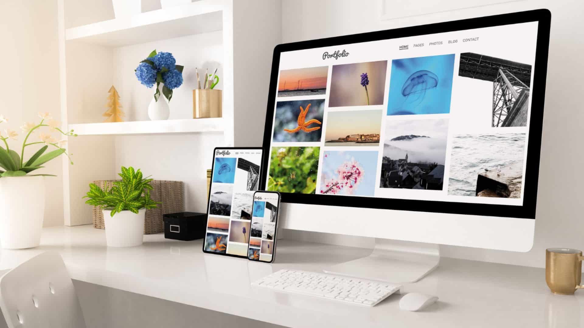 referencement web bergheim